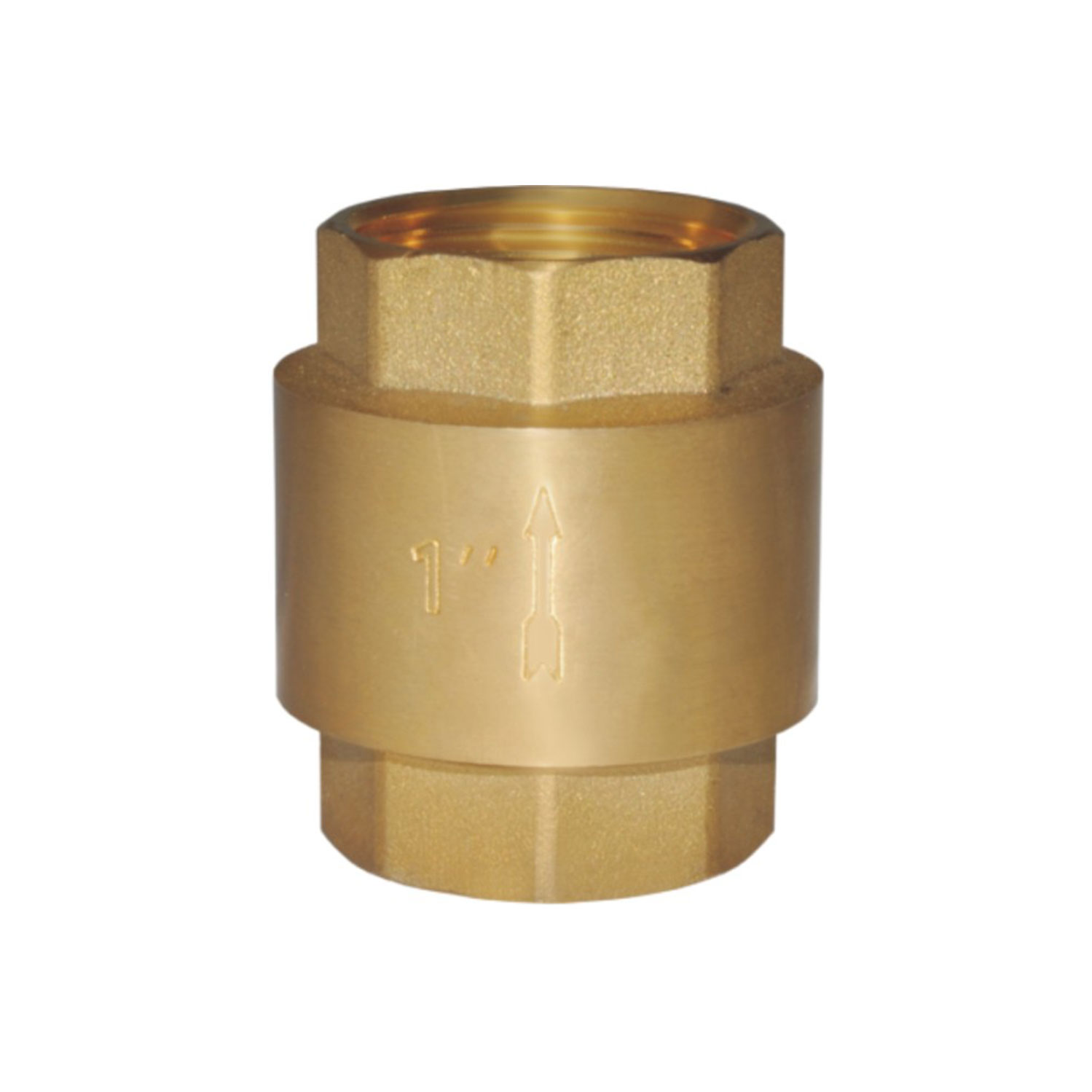 Vertical Check Valve