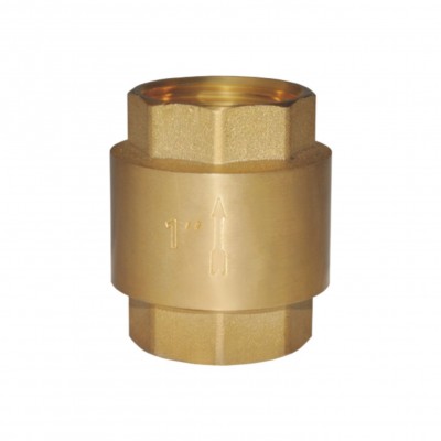 vertical-check-valves
